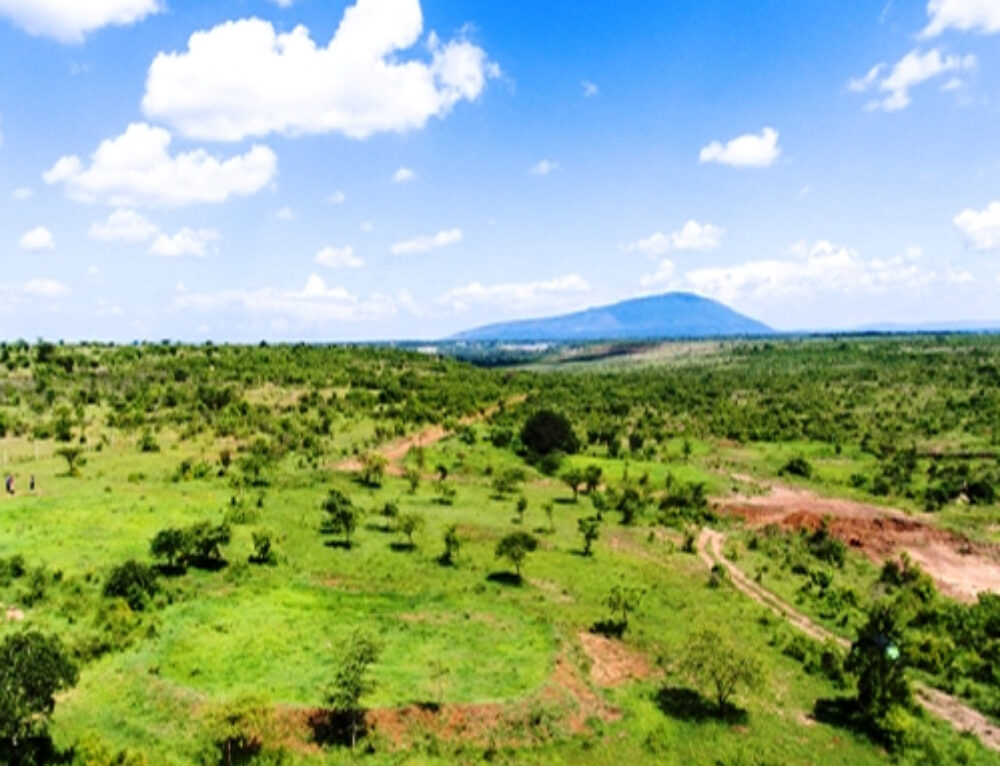 Sold Out Valley View Plains Nyeri Nyahururu Highway Kamuthi