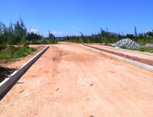 2021: Project Updates – Soya Dam Estate, Ngoliba