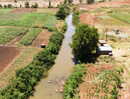 Soya Dam Estate – Ngoliba